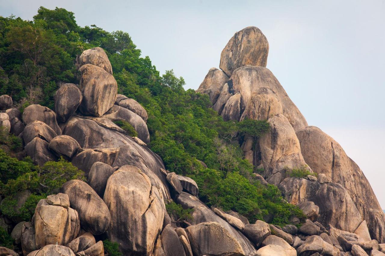 Koh Tao Relax Freedom Beach Resort Exterior foto