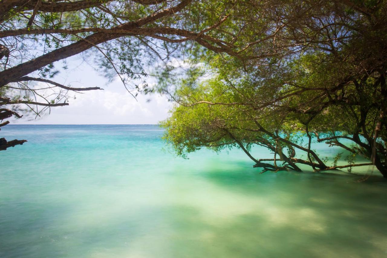 Koh Tao Relax Freedom Beach Resort Exterior foto